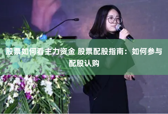 股票如何看主力资金 股票配股指南：如何参与配股认购