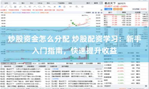 炒股资金怎么分配 炒股配资学习:新手入门指南,快速提升收益