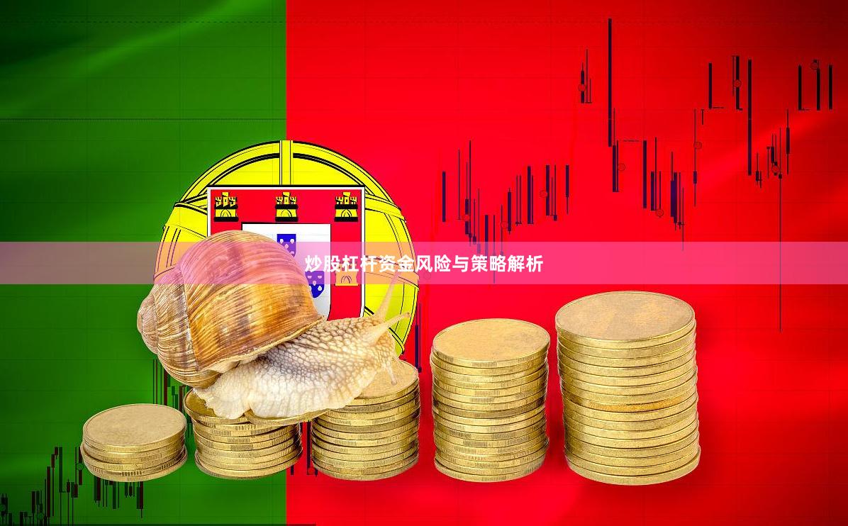炒股杠杆资金风险与策略解析
