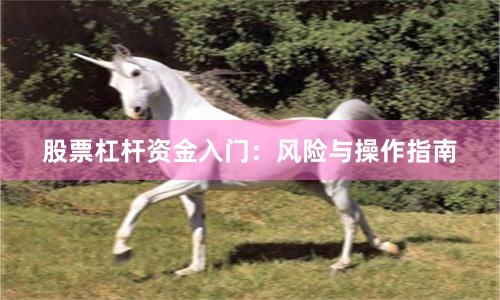 股票杠杆资金入门：风险与操作指南